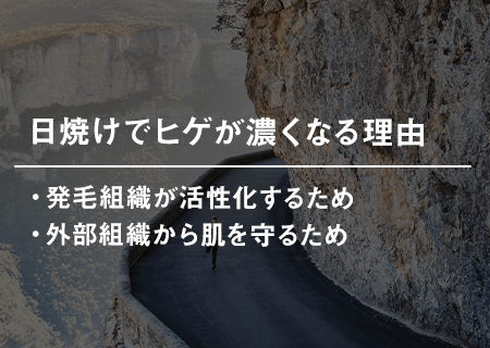 日焼けでヒゲが濃くなる理由