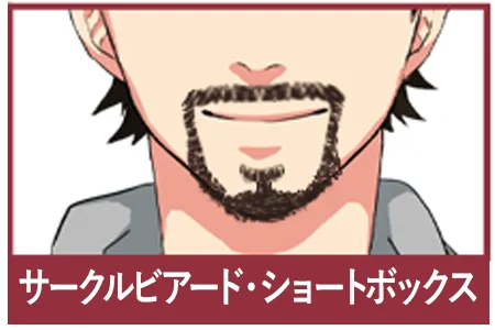 サークルビアード・ショートボックス