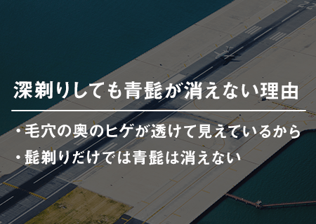 深剃りしても青髭が消えない理由