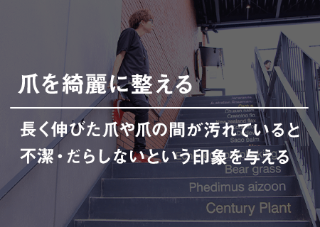 爪を綺麗に整える