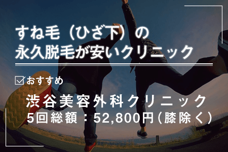 5-1.すね毛(ひざ下)の永久脱毛の総額が安い医療脱毛クリニック一覧