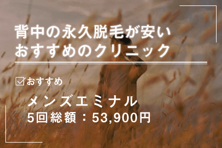 背中の永久脱毛が安いおすすめの医療脱毛クリニック