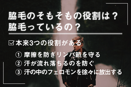 脇毛のそもそもの役割は？脇毛っているの？