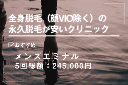 全身脱毛(顔VIO除く)の永久脱毛が安い医療脱毛クリニック一覧