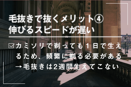 4-4.剃るよりも伸びるスピードが遅い