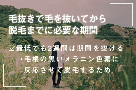 8.毛抜きで毛を抜いてから脱毛までに必要な期間